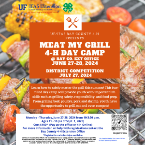 Meat, Grill, Camp, 4-H