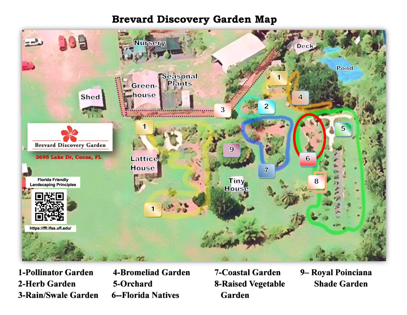 A labeld map of the Brevard Discovery Garden
