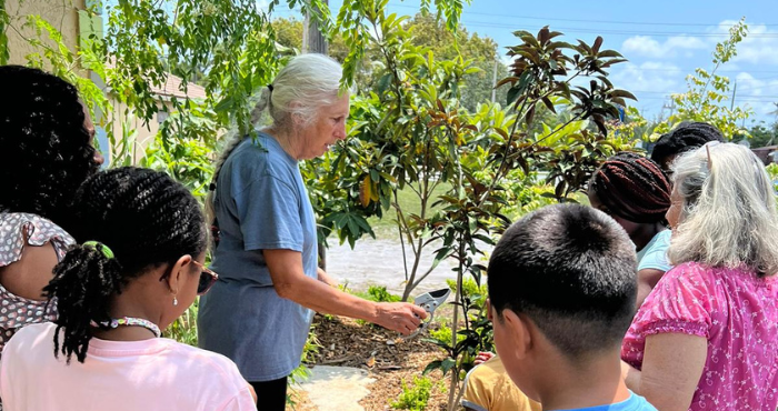 Club Leader, Leann, demonstration how to pruning a plant to members of her club.