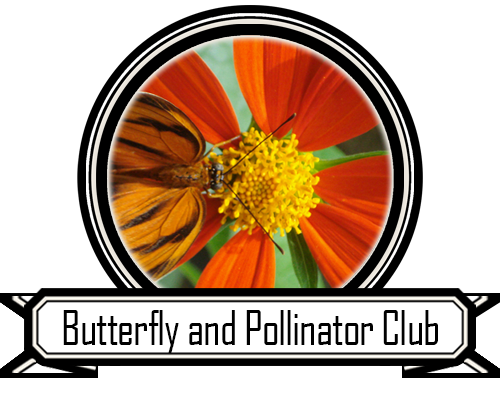 Butterfly and Pollinator Club