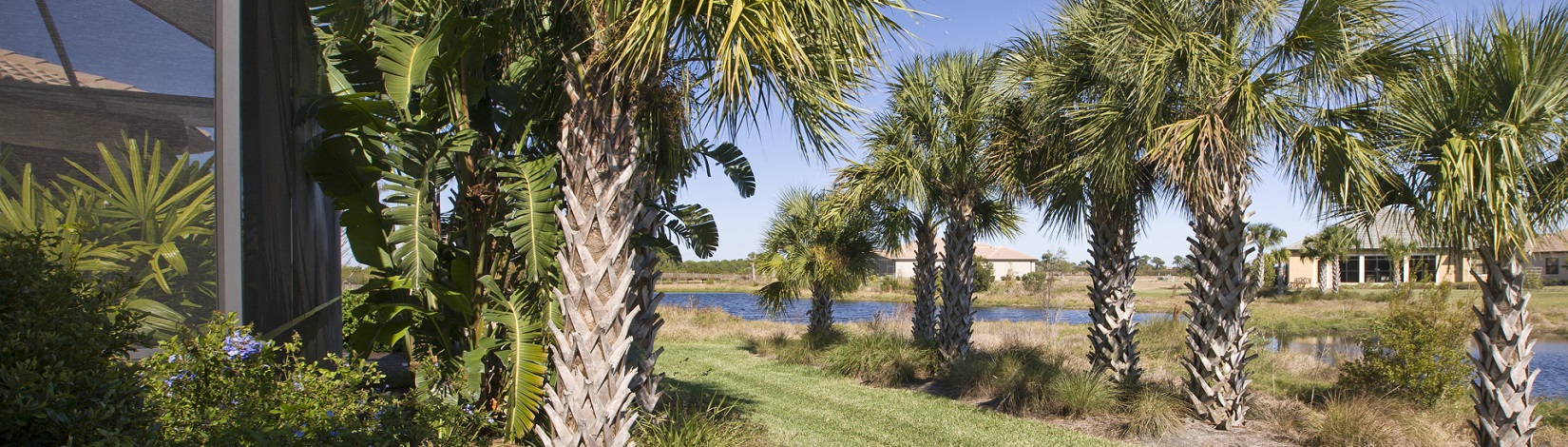 Back yard of Florida home with palm trees, lawn and canal