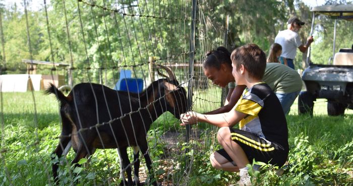 Visit to a local farm in Jefferson County-- 2 young participants interact w/ black goat.