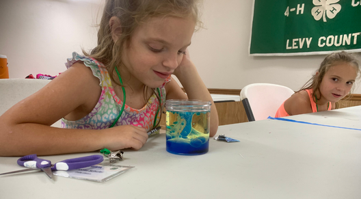 4-H summer camp attendee observing a simple chemical reaction used to make a lava lamp in a jar