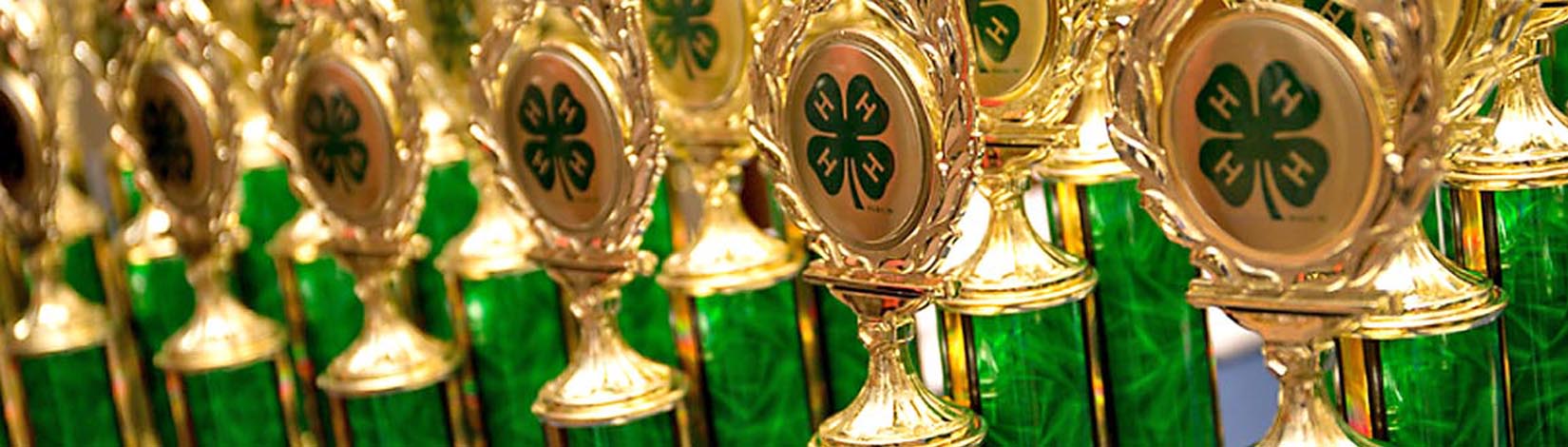 4-H trophies lined up on a table