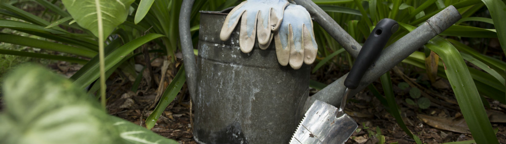 A watering can with gloves and a trowel, set against a vegetated background.