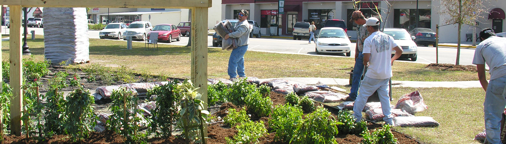 Professional landscapers apply mulch to a public park site in Okeechobee, Fla.