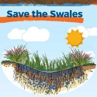 Save the Swales trifold lede illustration