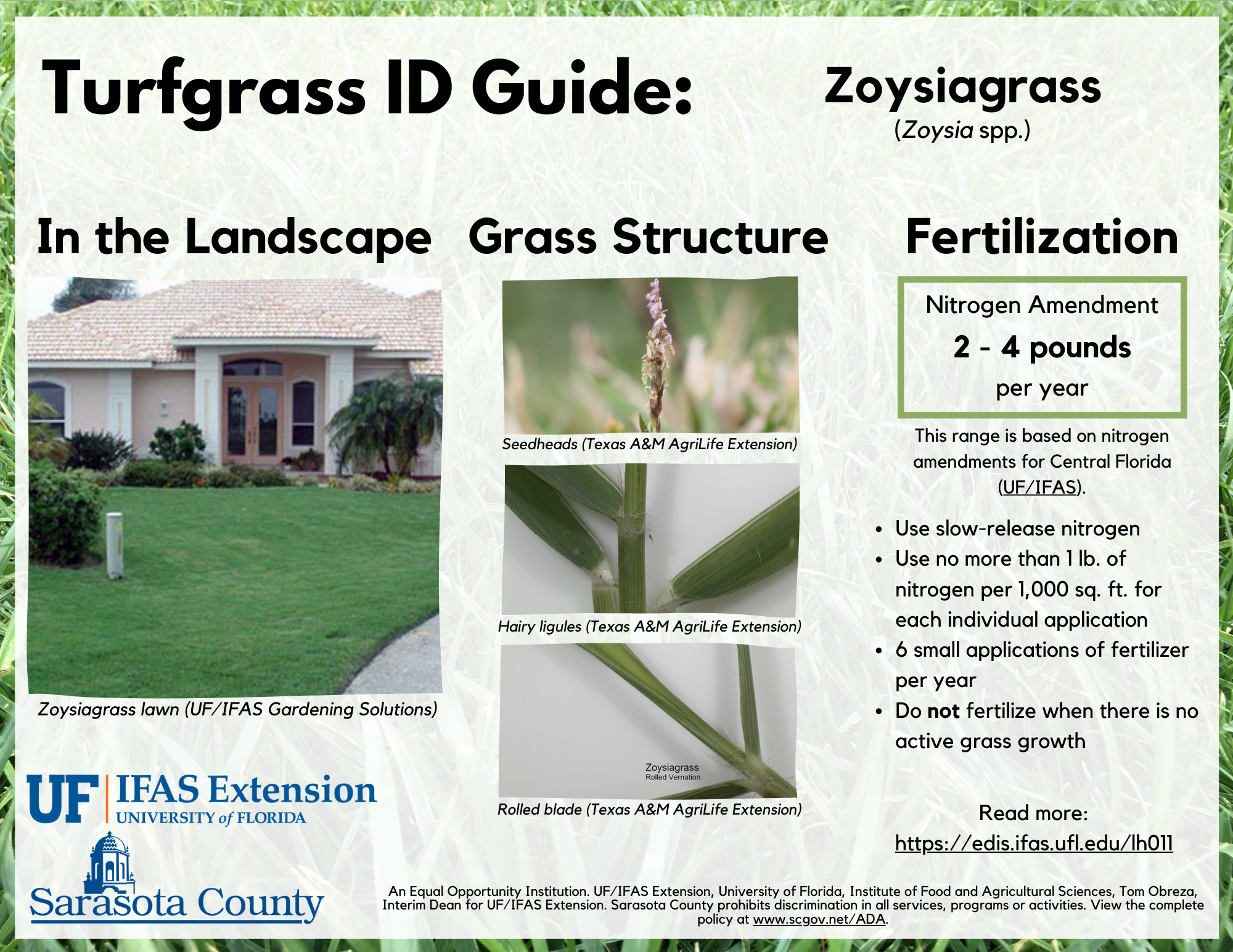 Guide to fertilizing Zoysiagrass in Sarasota County
