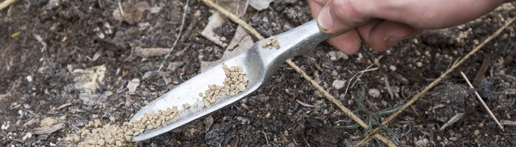 Hand adding fertilizer to a garden using a spade