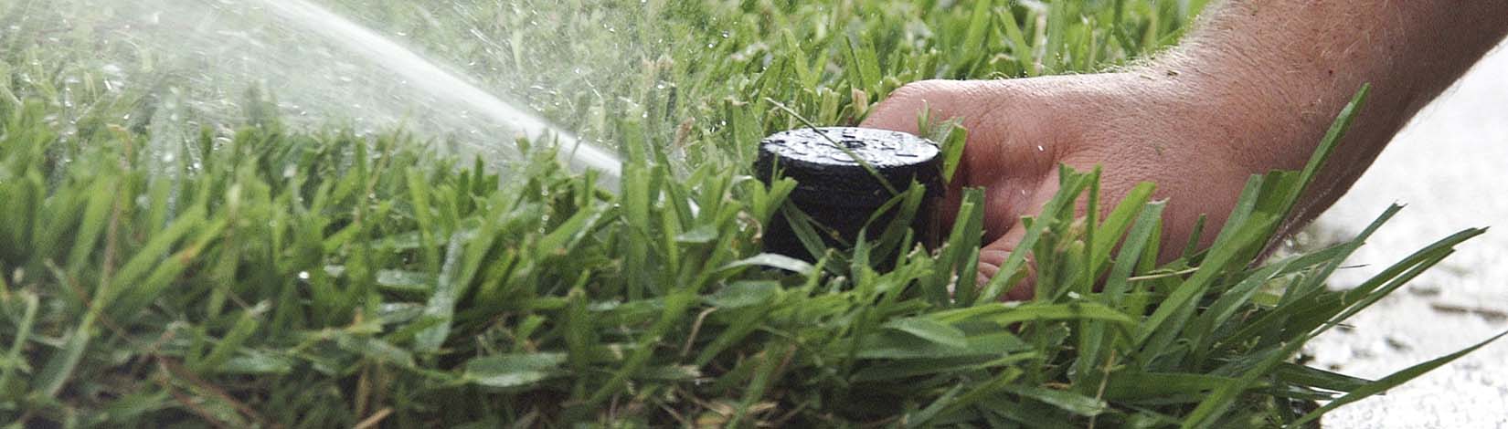 Sprinkler head shooting water for lawn irrigation