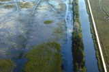 Everglades water flow