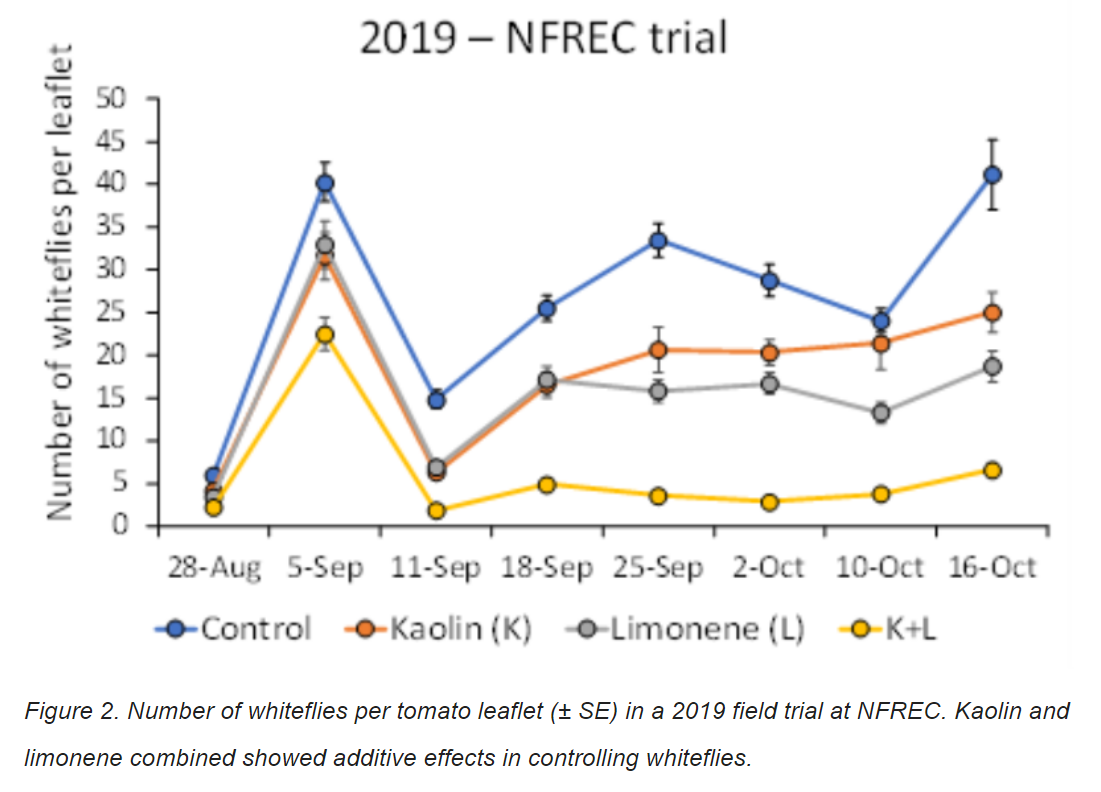 Figure 2: Number of whiteflies per tomato leaflet in a 2019 field trial at NFREC. Kaolin and limonene combined showed additive effects in controlling whiteflies