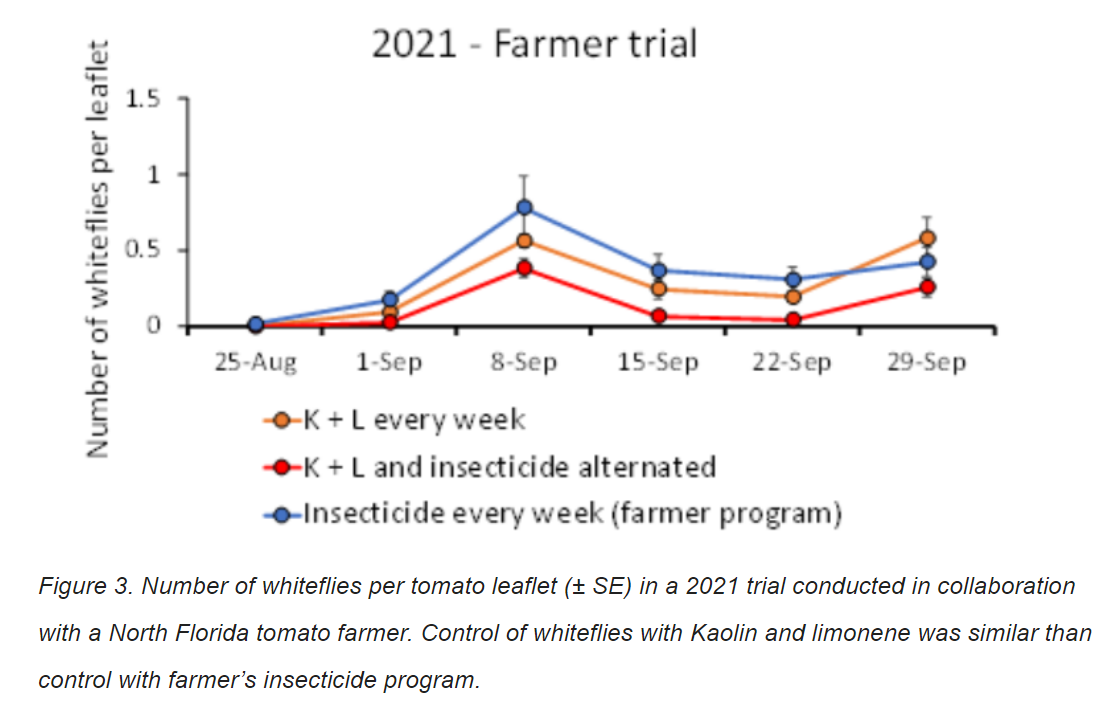 Figure 3: Number of whiteflies per tomato leaflet in a 2021 trial conducted in collaboration with a North Florida tomato farmer. Control of whiteflies with Kaolin and limonene was similar than control with farmer's insecticide program