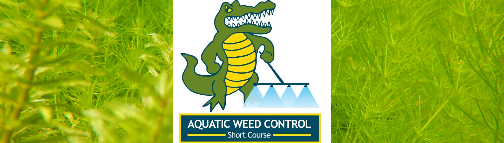 Aquatic Weed Control Short Course - University of Florida, Institute of  Food and Agricultural Sciences - UF/IFAS