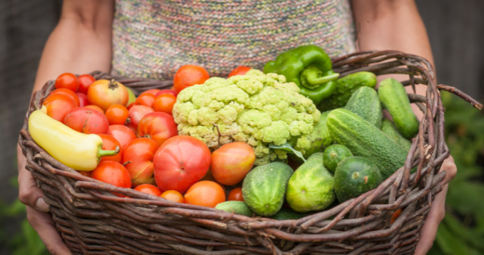 Person holding basket full of fresh vegetables
