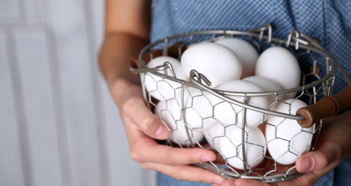 Person holding metal basket full of white chicken eggs