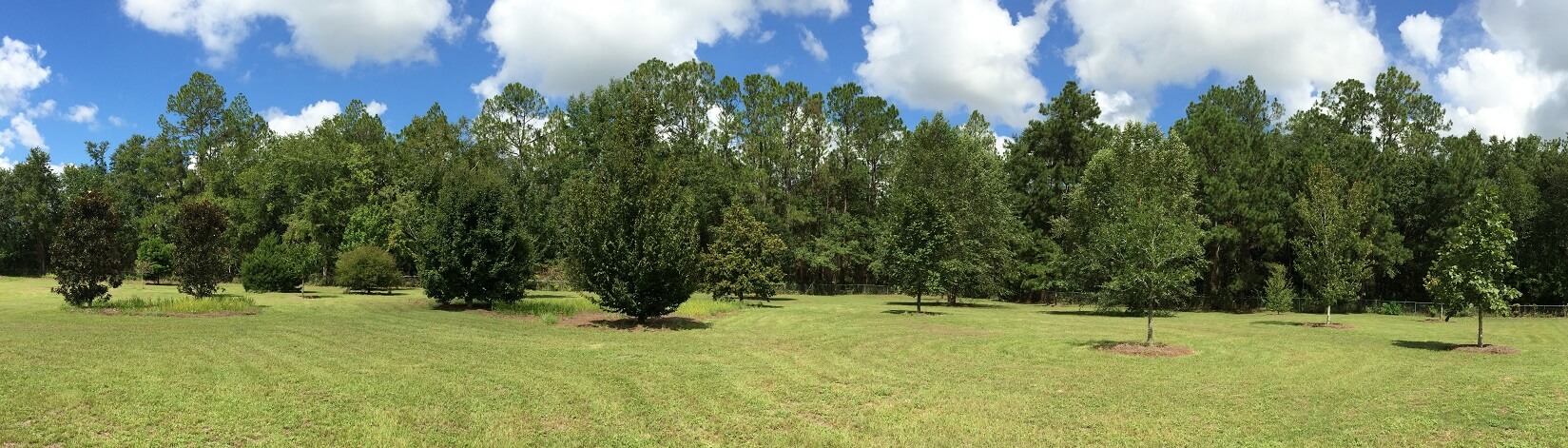 Arboretum - Field with Various Trees