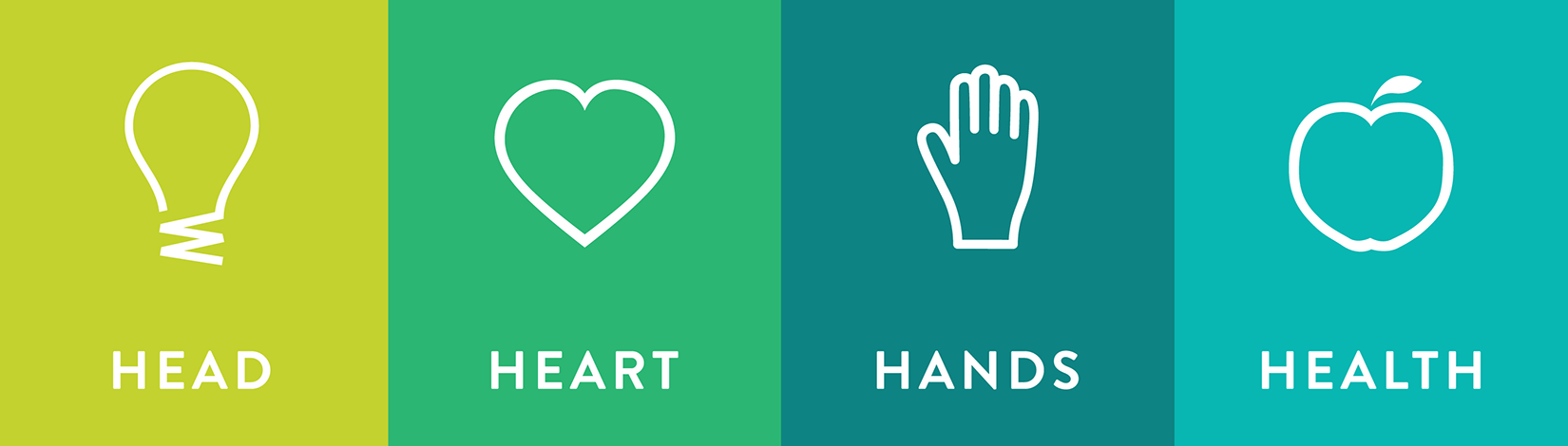 A green graphic image of the four tenants of 4-H: head, heart, hands, health.