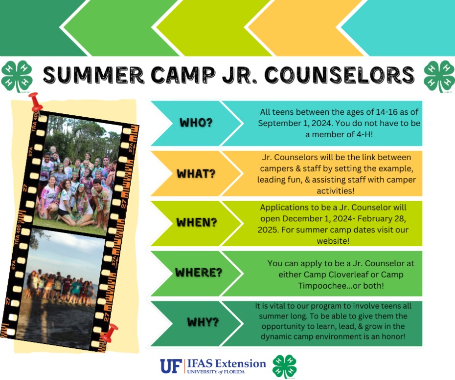 A flyer describing the steps to become a 2025 Summer Camp Jr Counselor.