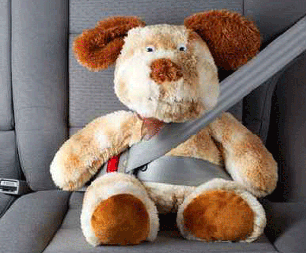 Child Passenger Car Seat