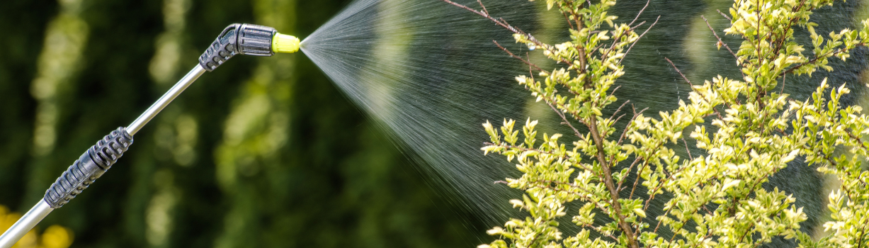 Image of spraying plant with Nosel