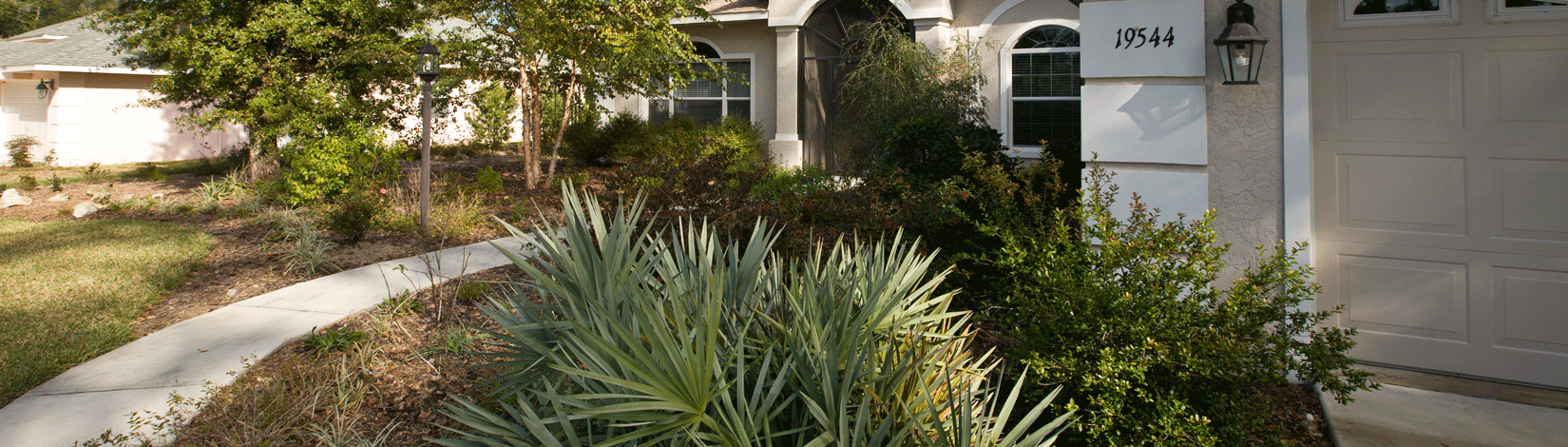 Florida-Friendly Landscaping