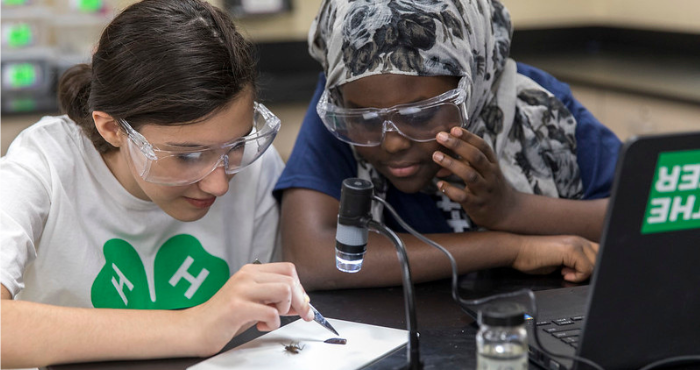 Two middle school girls inspecting an insect under a microscope in a 4-H school program.