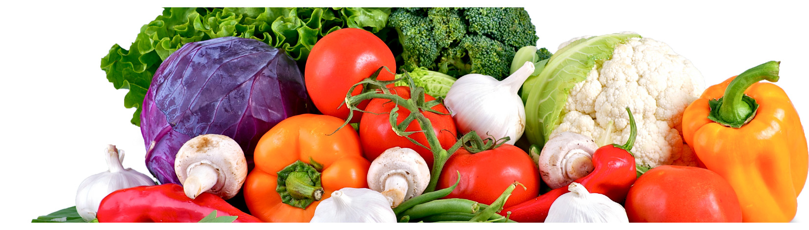 Lots of healthy vegetables