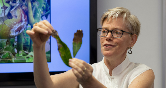 Speaker demonstrating with leaf