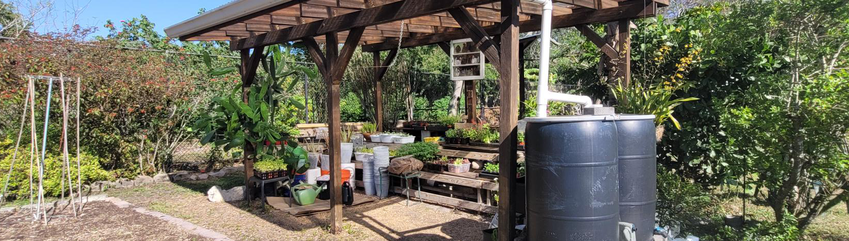urban garden with rain barrels