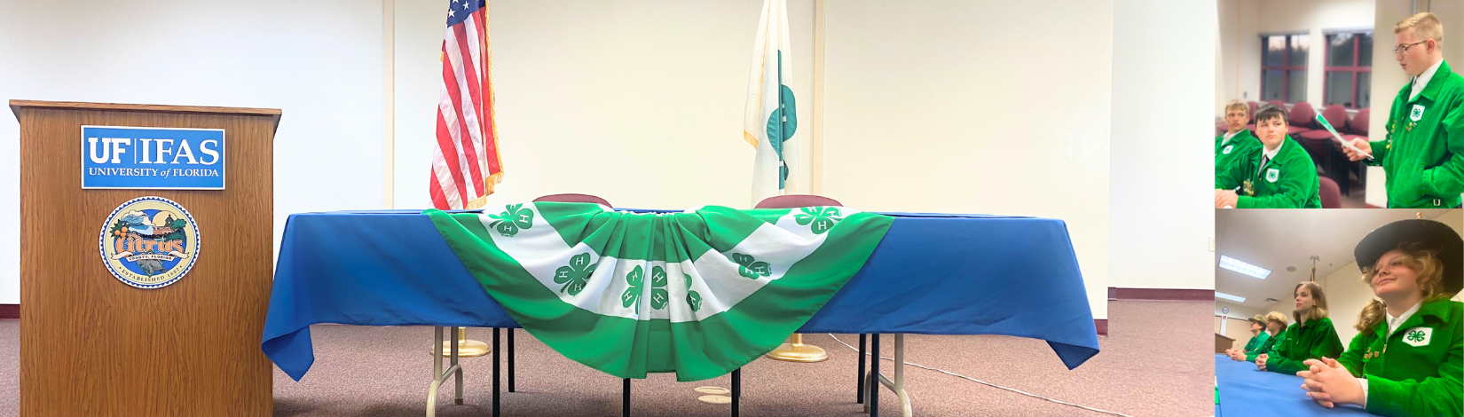 County Council 4-H meeting room with youth speaking