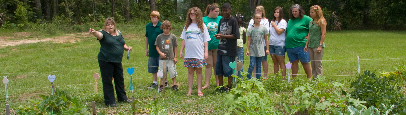Youth planting