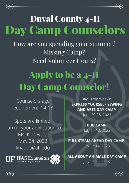 2023 day camp counselor flyer 