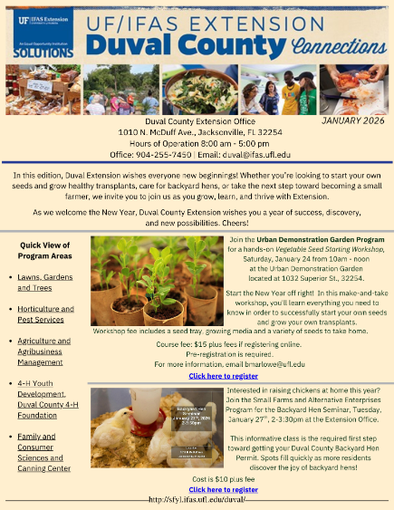 Image of the Current Extension Connections