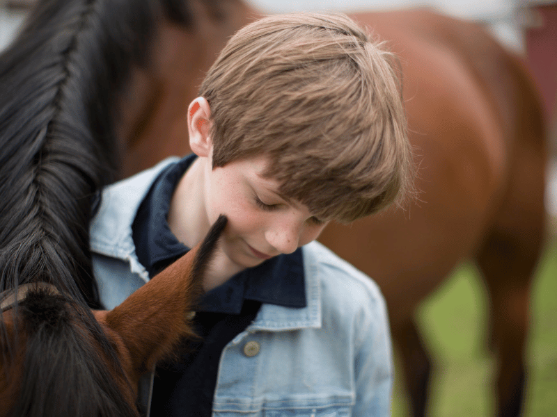 Closeup photo of a boy and a brown horse.