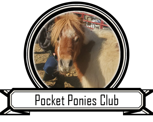  Pocket Ponies Club