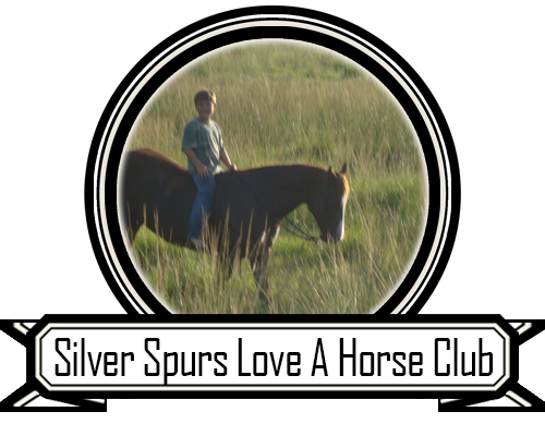 Silver Spurs Love A Horse Club