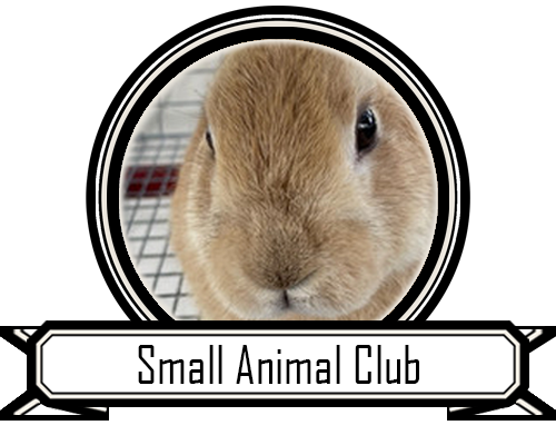  Small Animal Club