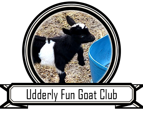  Udderly Fun Goat Club