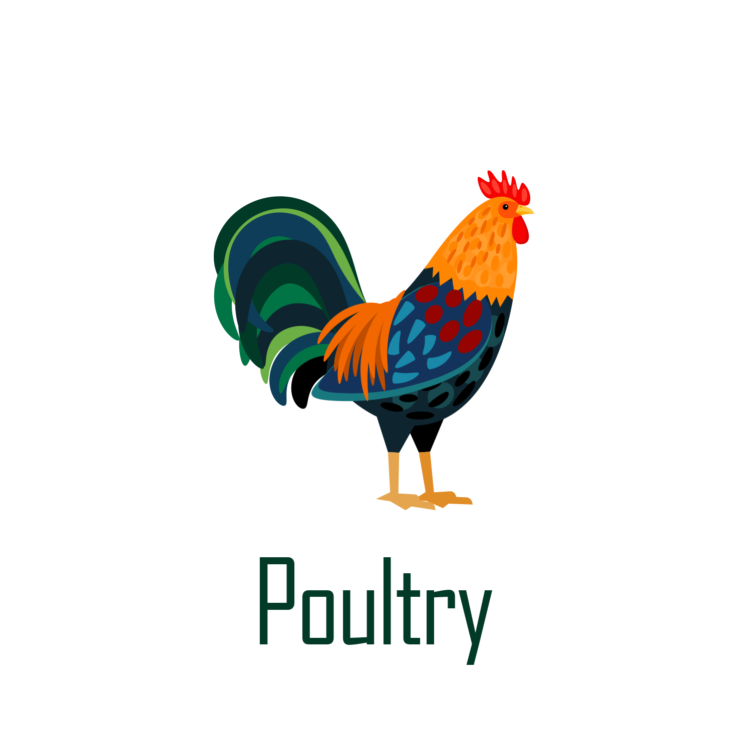 Poultry Record Book Icon