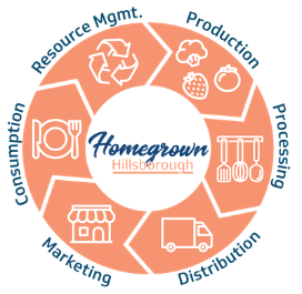 Circular infographic showing six stages of a local food system: resource management, production, processing, distribution, marketing, and consumption.