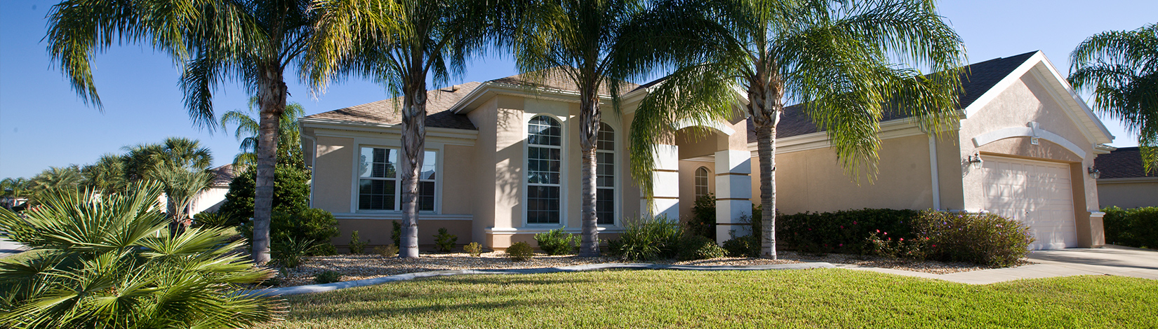 Florida house with queen palms