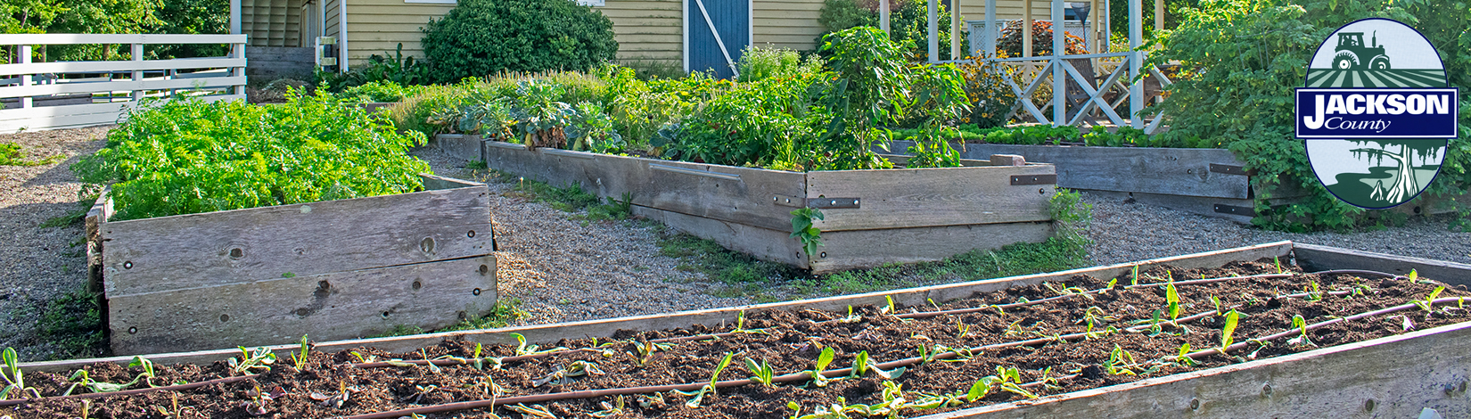 raised bed vegetable and herb garden