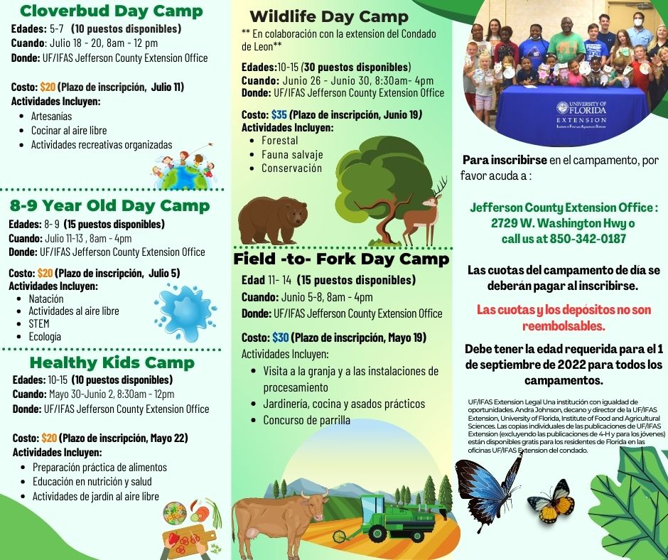 Summer Camps 2023 Offerings in Espanol