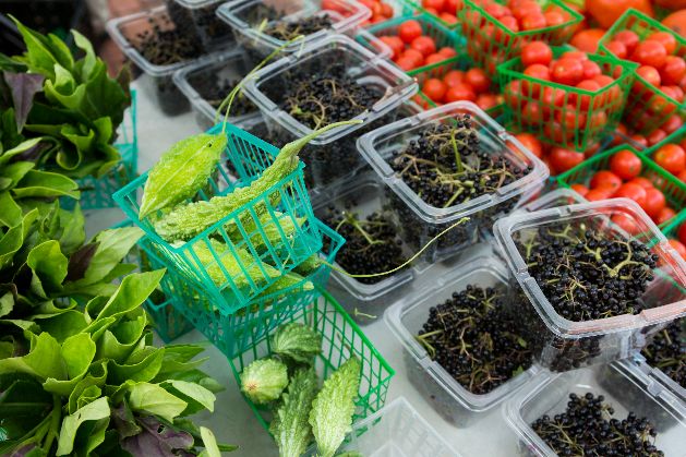 Vegetables and Herbs