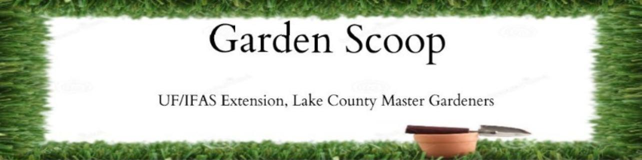Master Gardener Volunteer Newsletter