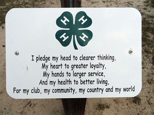 4-H pledge sign