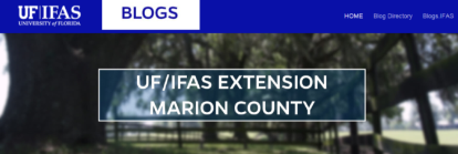 IFAS Blog