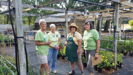 Master Gardener Volunteers in Propagation