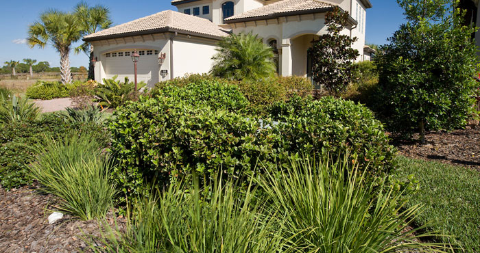 A home with Florida Friendly Landscaping.
